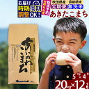 【ふるさと納税】※令和6年産 新米予約※《定期便12ヶ月》秋