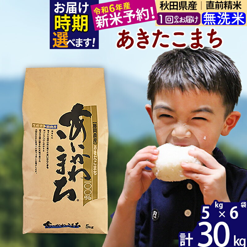 【ふるさと納税】※令和6年産 新米予約※秋田県産 あきたこまち 30kg【無洗米】(5kg小分け袋) 【1回のみ...