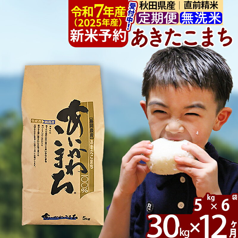 ※令和6年産 新米予約※《定期便12ヶ月》秋田県産 あきたこまち 30kg(5kg小分け袋) 2024年産 お届け周期調整可能 隔月に調整OK お米 藤岡農産