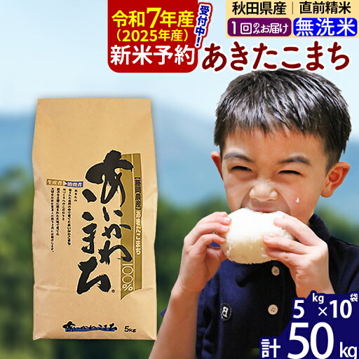 【ふるさと納税】※令和7年産 新米予約※秋田県産 あきたこまち 50kg【無洗米】(5kg小分け袋) 【1回のみお届け】2025産 お米 藤岡農産 【ふるさと納税】※令和7年産 新米予約※秋田県産 あきたこまち 50kg【無洗米】(5kg小分け袋) 【1回のみお届け】2025産 お米 藤岡農産
