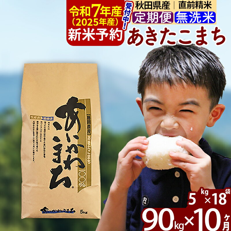 【ふるさと納税】※令和7年産 新米予約※《定期便10ヶ月》秋田県産 あきたこまち 90kg【無洗米】(5kg小分け袋) 2025年産 お届け周期調整可能 隔月に調整OK お米 藤岡農産