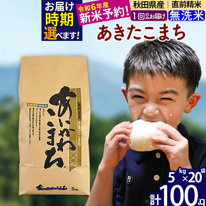 33位! 口コミ数「0件」評価「0」※令和6年産 新米予約※秋田県産 あきたこまち 100kg【無洗米】(5kg小分け袋) 【1回のみお届け】2024産 お米 藤岡農産