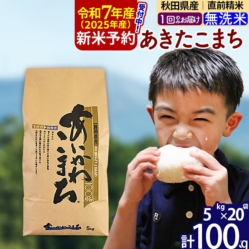 【ふるさと納税】※令和7年産 新米予約※秋田県産 あきたこまち 100kg【無洗米】(5kg小分け袋) 【1回のみお届け】2025産 お米 藤岡農産