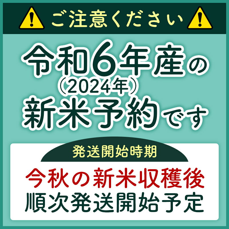 【ふるさと納税】※令和6年産 新米予約※《定期便9ヶ月》秋田県産 あきたこまち 25kg【無洗米】(5kg小分け袋) 2024年産 お届け周期調整可能 隔月に調整OK お米 藤岡農産