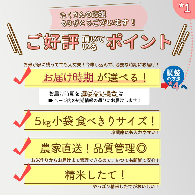 【ふるさと納税】 ★翌日発送あり★ 【白米】 秋田県産 あきたこまち 5kg (5kg×1袋) 令和3年産 お届け時期選べる新米 令和4年 一等米 5キロ お米 配送時期選べる