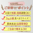 【ふるさと納税】※令和6年産 新米予約※《定期便8ヶ月》秋田県産 あきたこまち 50kg【玄米】(5kg小分け袋) 2024年産 お届け周期調整可能 隔月に調整OK お米 藤岡農産 3