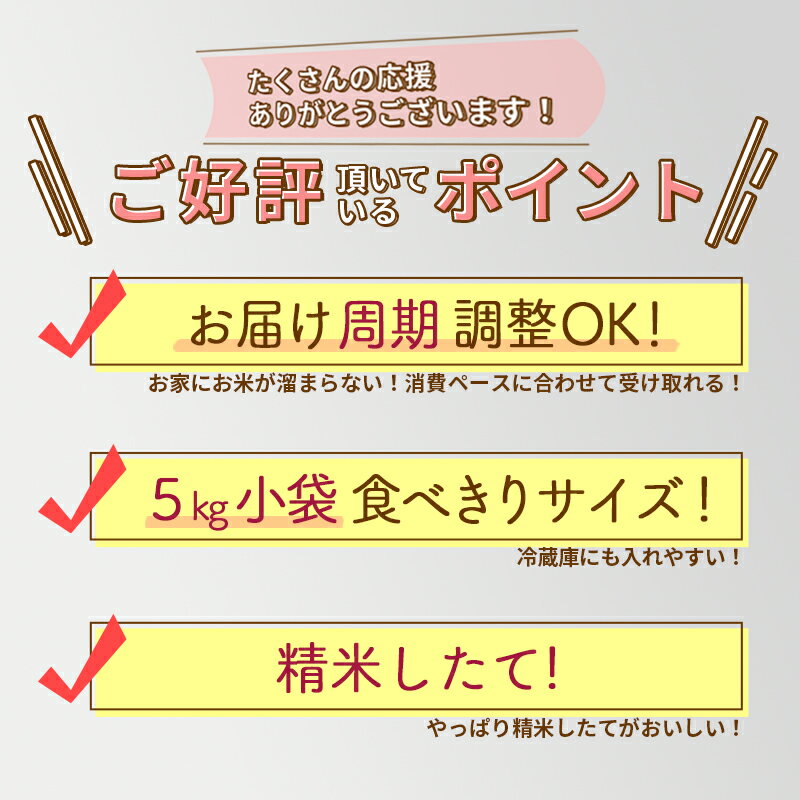 【ふるさと納税】※令和6年産 新米予約※《定期便12ヶ月》秋田県産 あきたこまち 5kg【白米】(5kg小分け袋) 2024年産 お届け周期調整可能 隔月に調整OK お米 藤岡農産 3