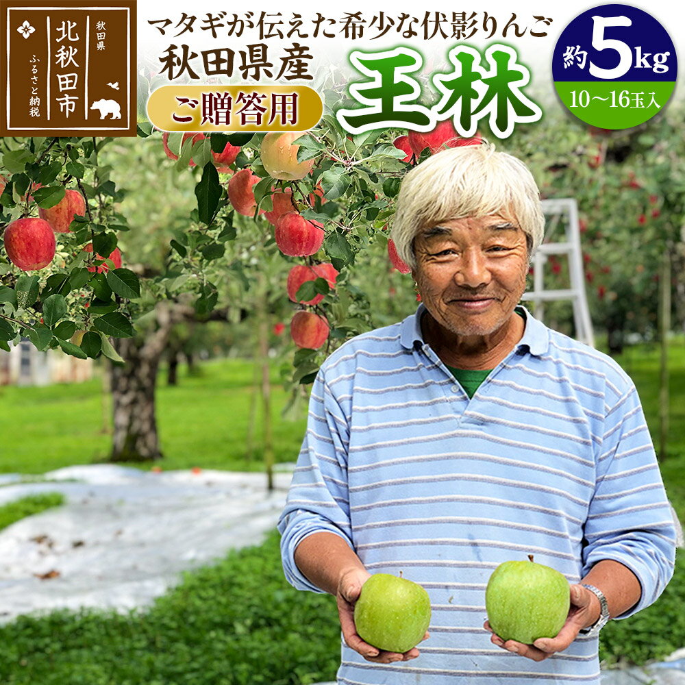 【ふるさと納税】りんご 王林（ご贈答用）約5kg (10〜16玉入) 伊東さんの「伏影りんご」 令和7年産 秋田県産 個数限定 リンゴ マタギの..