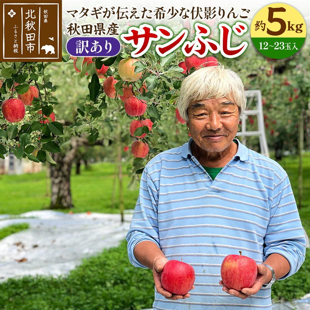 りんご 秋田県産 サンふじ(訳あり) 「伏影りんご」 約5kg (12〜23玉入)