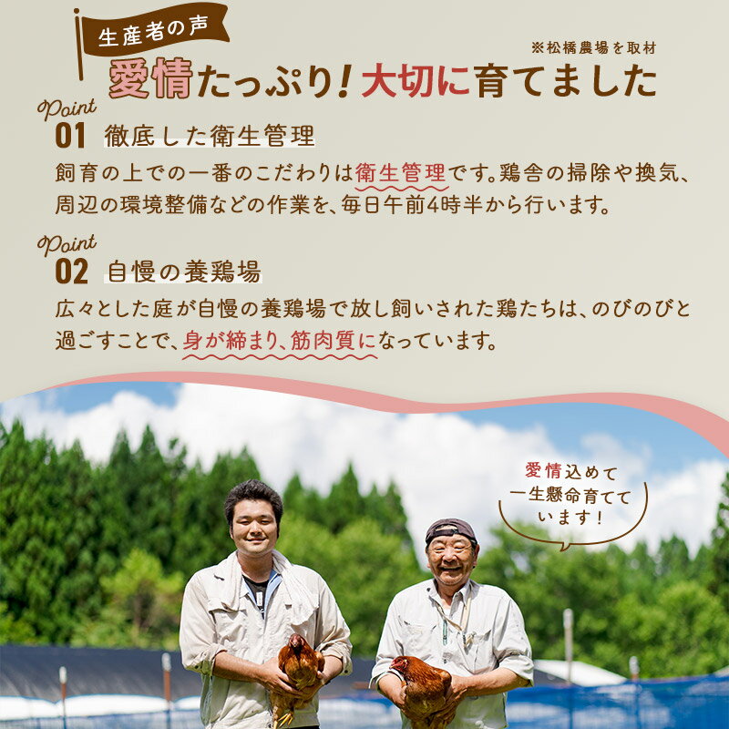 【ふるさと納税】比内地鶏ミンチ