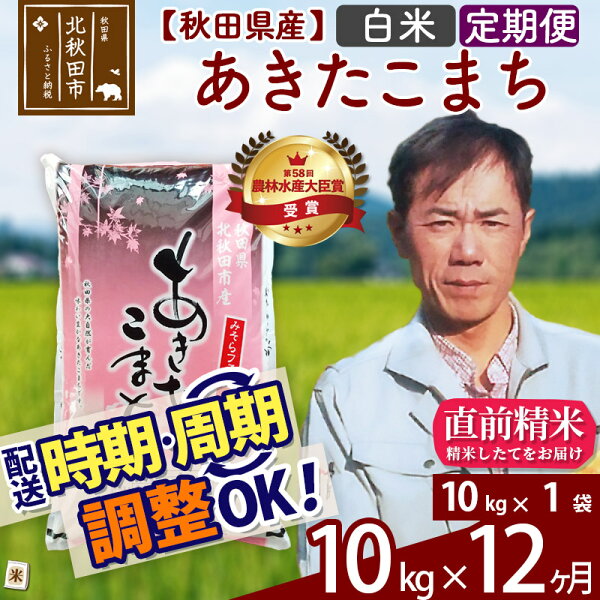 ふるさと納税 《定期便12ヶ月》 白米 秋田県産あきたこまち10kg(10kg×1袋)×12回農林水産大臣賞受賞「水の郷100