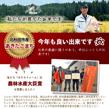 【ふるさと納税】 《定期便6ヶ月》 【白米】 秋田県産 あきたこまち10kg(10kg×1袋)×6回 農家直送 一等米 「水の郷100選」森吉山系からの清らかな水で育てたお米 6か月 6ヵ月 6カ月 6ケ月