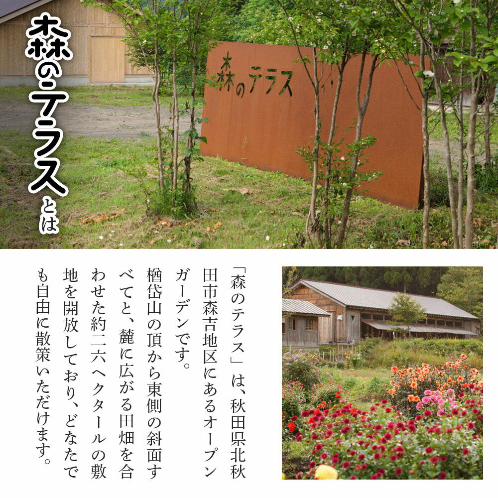 【ふるさと納税】スノーモービル 宿泊 森のテラス スノーモービル体験付 宿泊プラン 森吉 3