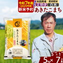 【ふるさと納税】※令和6年産 新米予約※《定期便7ヶ月》秋田県産 あきたこまち 5kg【白米】(5kg小分け袋) 2024年産 お届け周期調整可能 隔月に調整OK お米 みそらファーム