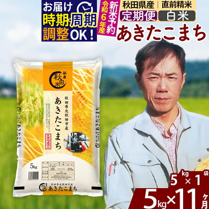 ※令和6年産 新米予約※《定期便11ヶ月》秋田県産 あきたこまち 5kg【白米】(5kg小分け袋) 2024年産 お届け周期調整可能 隔月に調整OK お米 みそらファーム