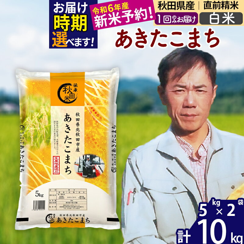 【ふるさと納税】 【白米】 秋田県産 あきたこまち 10kg（10kg×1袋） お届け時期選べる 新米 令和3年産 農家直送 一等米 10キロ お米 配送時期選べる