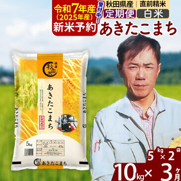 【ふるさと納税】 《定期便3ヶ月》 【白米】 秋田県産 あきたこまち 10kg (10kg×1袋)×3回 計30kg 令和3年産 時期選べる新米 令和4年 お届け周期調整可能 隔月に調整OK 一等米 3か月 3ヵ月 3カ月 3ケ月 10キロ お米