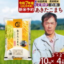 【ふるさと納税】※令和6年産 新米予約※《定期便4ヶ月》秋田