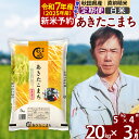 【ふるさと納税】 《定期便3ヶ月》 【白米】 秋田県産 あきたこまち20kg(10kg×2袋)×3回 計60kg 10月上旬より新米出荷 令和3年産 時期選べる お届け周期調整可能 隔月 農家直送 一等米 3か月 3ヵ月 3カ月 3ケ月 20キロ お米