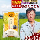 【ふるさと納税】※令和7年産 新米予約※《定期便10ヶ月》秋田県産 あきたこまち 30kg【白米】(5kg)2025年産 お届け周期調整可能 隔月に調整OK お米 みそらファーム