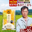 26位! 口コミ数「0件」評価「0」※令和6年産 新米予約※《定期便10ヶ月》秋田県産 あきたこまち 30kg【白米】(5kg)2024年産 お届け周期調整可能 隔月に調整OK･･･ 