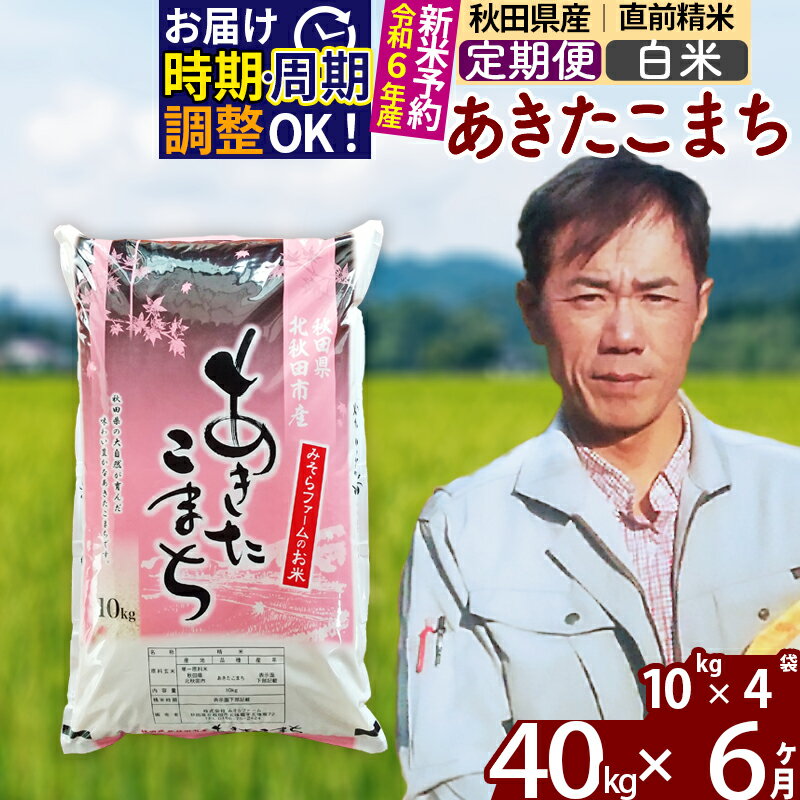 ※令和6年産 新米予約※《定期便6ヶ月》秋田県産 あきたこまち 40kg【白米】(10kg袋) 2024年産 お届け周期調整可能 隔月に調整OK お米 みそらファーム