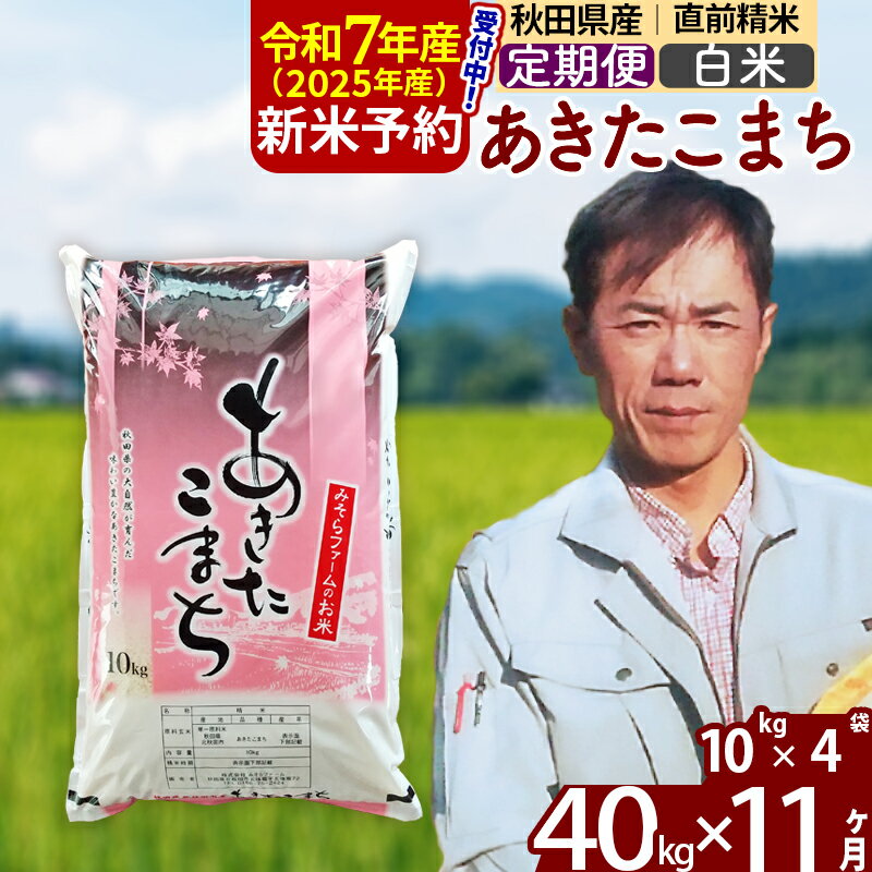 【ふるさと納税】※令和7年産 新米予約※《定期便11ヶ月》秋田県産 あきたこまち 40kg【白米】(10kg袋) 2025年産 お届け周期調整可能 隔月に調整OK お米 みそらファーム