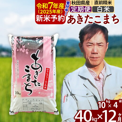 【ふるさと納税】※令和7年産 新米予約※《定期便12ヶ月》秋田県産 あきたこまち 40kg【白米】(10kg袋) 2025年産 お届け周期調整可能 隔月に調整OK お米 みそらファーム 【ふるさと納税】※令和7年産 新米予約※《定期便12ヶ月》秋田県産 あきたこまち 40kg【白米】(10kg袋) 2025年産 お届け周期調整可能 隔月に調整OK お米 みそらファーム