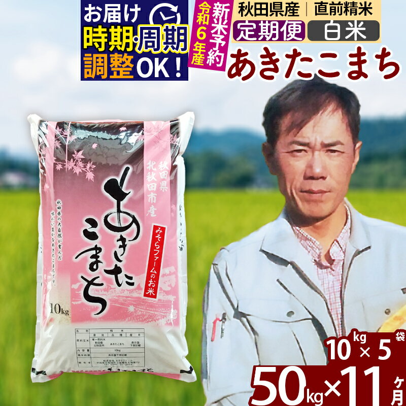 【ふるさと納税】※令和6年産 新米予約※《定期便11ヶ月》秋田県産 あきたこまち 50kg【白米】(10kg袋) 2024年産 お届け周期調整可能 隔月に調整OK お米 みそらファーム