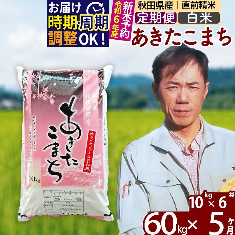 ※令和6年産 新米予約※《定期便5ヶ月》秋田県産 あきたこまち 60kg【白米】(10kg袋) 2024年産 お届け周期調整可能 隔月に調整OK お米 みそらファーム