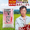 【ふるさと納税】※令和7年産 新米予約※《定期便9ヶ月》秋田県産 あきたこまち 80kg【白米】(10kg袋) 2025年産 お届け周期調整可能 隔月に調整OK お米 みそらファーム
