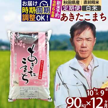 【ふるさと納税】 《定期便12ヶ月》 【白米】 秋田県産 あきたこまち 90kg (10kg×9袋)×12回 計1080kg 令和3年産 時期選べる新米 令和4年 お届け周期調整可能 隔月に調整OK 一等米 12か月 12ヵ月 12カ月 12ケ月 90キロ お米