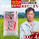【ふるさと納税】※令和7年産 新米予約※《定期便4ヶ月》秋田県産 あきたこまち 100kg【白米】(10kg袋) 2025年産 お届け周期調整可能 隔月に調整OK お米 みそらファーム