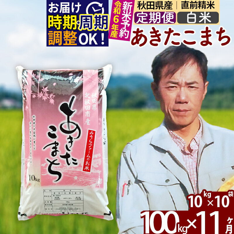 【ふるさと納税】 《定期便11ヶ月》 【白米】 秋田県産 あきたこまち 100kg (10kg×10袋)×11回 計1100kg 令和3年産 時期選べる新米 令和4年 お届け周期調整可能 隔月に調整OK 一等米 11か月 11ヵ月 11カ月 11ケ月 100キロ お米