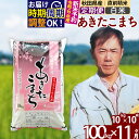 【ふるさと納税】※令和6年産 新米予約※《定期便11ヶ月》秋田県産 あきたこまち 100kg【白米】(10kg袋) 2024年産 お届け周期調整可能 隔月に調整OK お米 みそらファーム