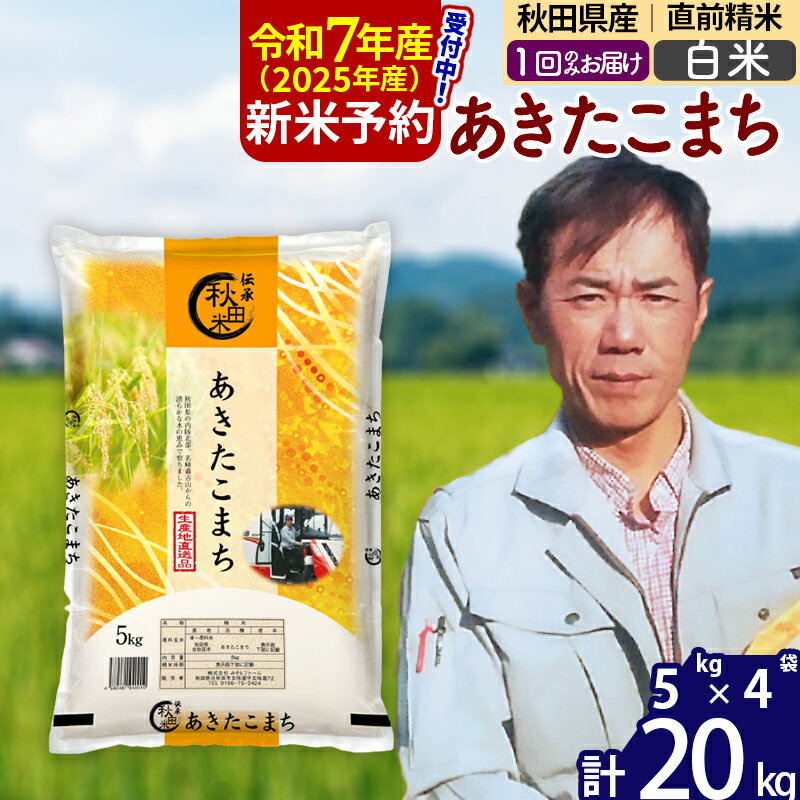 【ふるさと納税】※令和6年産 新米予約※秋田県産 あきたこま