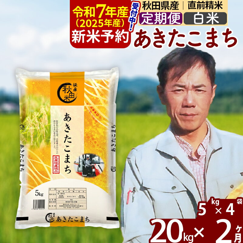 【ふるさと納税】※令和6年産 新米予約※《定期便2ヶ月》秋田