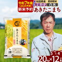 15位! 口コミ数「0件」評価「0」※令和6年産 新米予約※《定期便12ヶ月》秋田県産 あきたこまち 20kg【白米】(5kg小分け袋) 2024年産 お届け周期調整可能 隔月･･･ 