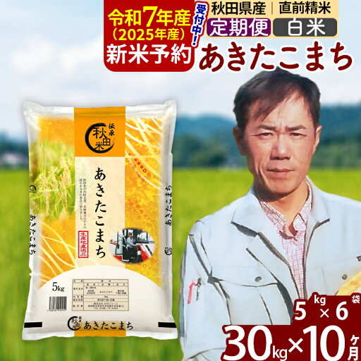 【ふるさと納税】※令和7年産 新米予約※《定期便10ヶ月》秋田県産 あきたこまち 30kg【白米】(5kg小分け袋) 2025年産 お届け周期調整可能 隔月に調整OK お米 みそらファーム 【ふるさと納税】※令和7年産 新米予約※《定期便10ヶ月》秋田県産 あきたこまち 30kg【白米】(5kg小分け袋) 2025年産 お届け周期調整可能 隔月に調整OK お米 みそらファーム