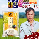 【ふるさと納税】※令和6年産 新米予約※《定期便6ヶ月》秋田