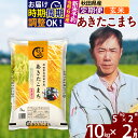 【ふるさと納税】※令和6年産 新米予約※《定期便2ヶ月》秋田