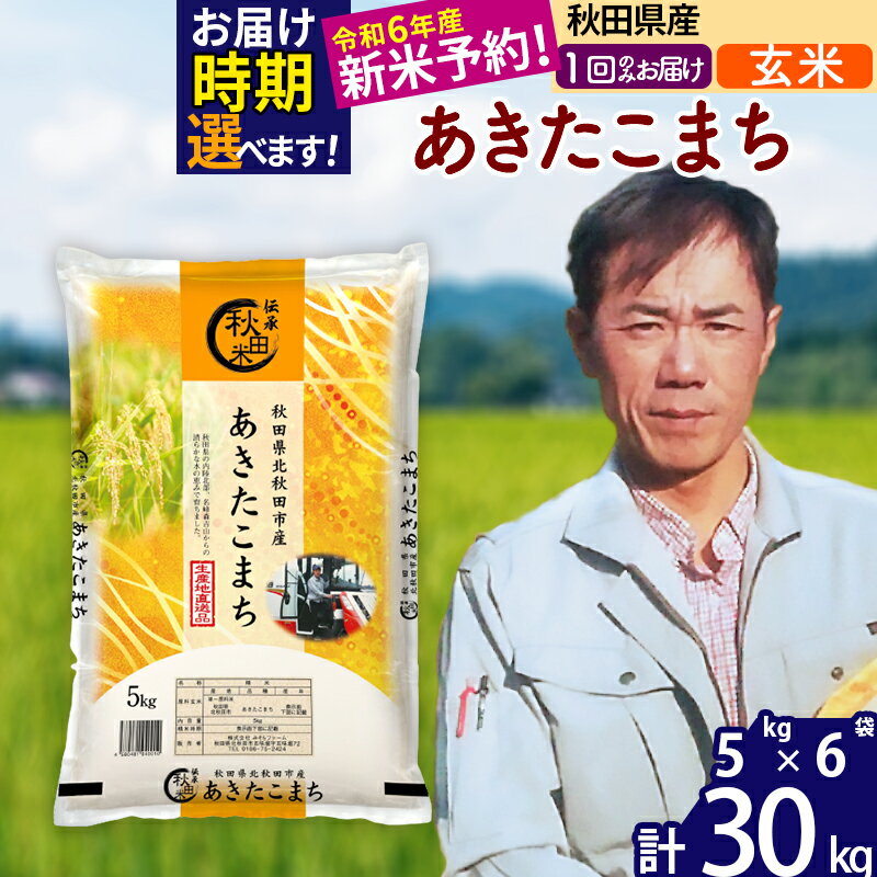 【ふるさと納税】※令和6年産 新米予約※秋田県産 あきたこま