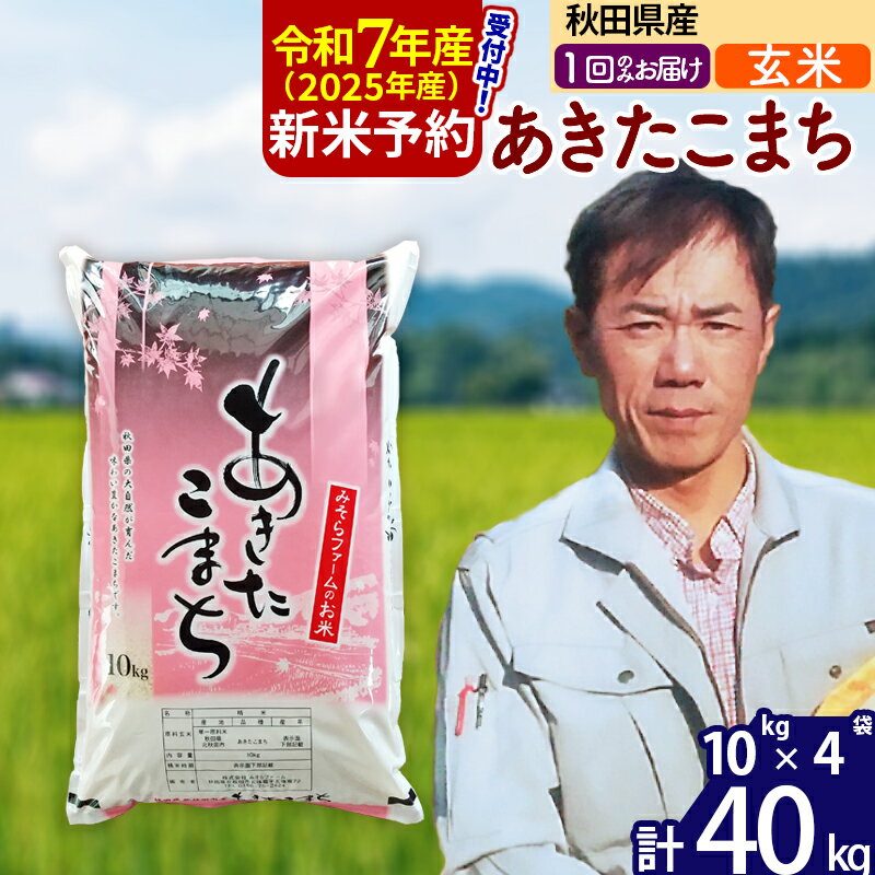 【ふるさと納税】※令和6年産 新米予約※秋田県産 あきたこま