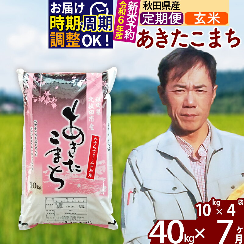 ※令和6年産 新米予約※《定期便7ヶ月》秋田県産 あきたこまち 40kg【玄米】(10kg袋) 2024年産 お届け周期調整可能 隔月に調整OK お米 みそらファーム