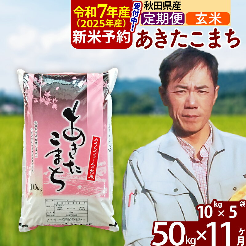 【ふるさと納税】※令和7年産 新米予約※《定期便11ヶ月》秋田県産 あきたこまち 50kg【玄米】(10kg袋) 2025年産 お届け周期調整可能 隔月に調整OK お米 みそらファーム