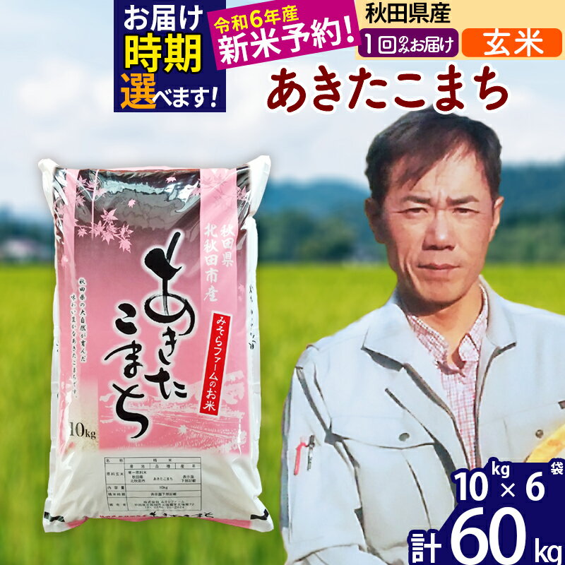 【ふるさと納税】※令和6年産 新米予約※秋田県産 あきたこま