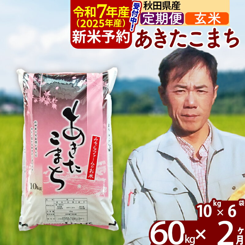 ※令和6年産 新米予約※《定期便2ヶ月》秋田県産 あきたこまち 60kg【玄米】(10kg袋) 2024年産 お届け周期調整可能 隔月に調整OK お米 みそらファーム