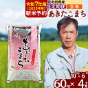 【ふるさと納税】※令和7年産 新米予約※《定期便4ヶ月》秋田県産 あきたこまち 60kg【玄米】(10kg袋) 2025年産 お届け周期調整可能 隔月に調整OK お米 みそらファーム
