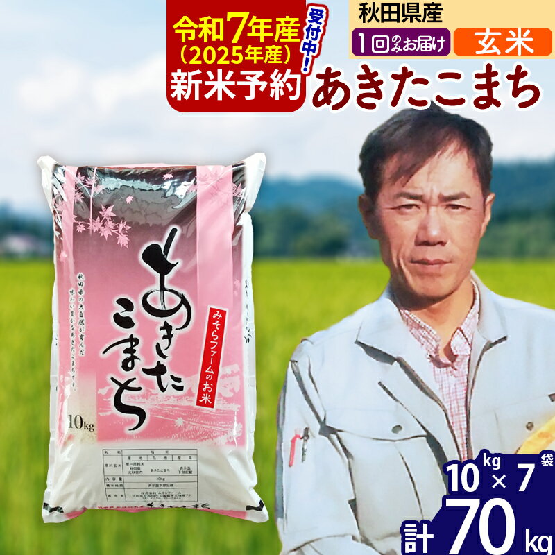 【ふるさと納税】※令和6年産 新米予約※秋田県産 あきたこま