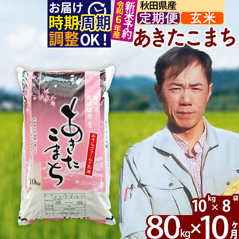 【ふるさと納税】※令和6年産 新米予約※《定期便10ヶ月》秋田県産 あきたこまち 80kg【玄米】(10kg袋) 2024年産 お届け周期調整可能 隔月に調整OK お米 みそらファーム